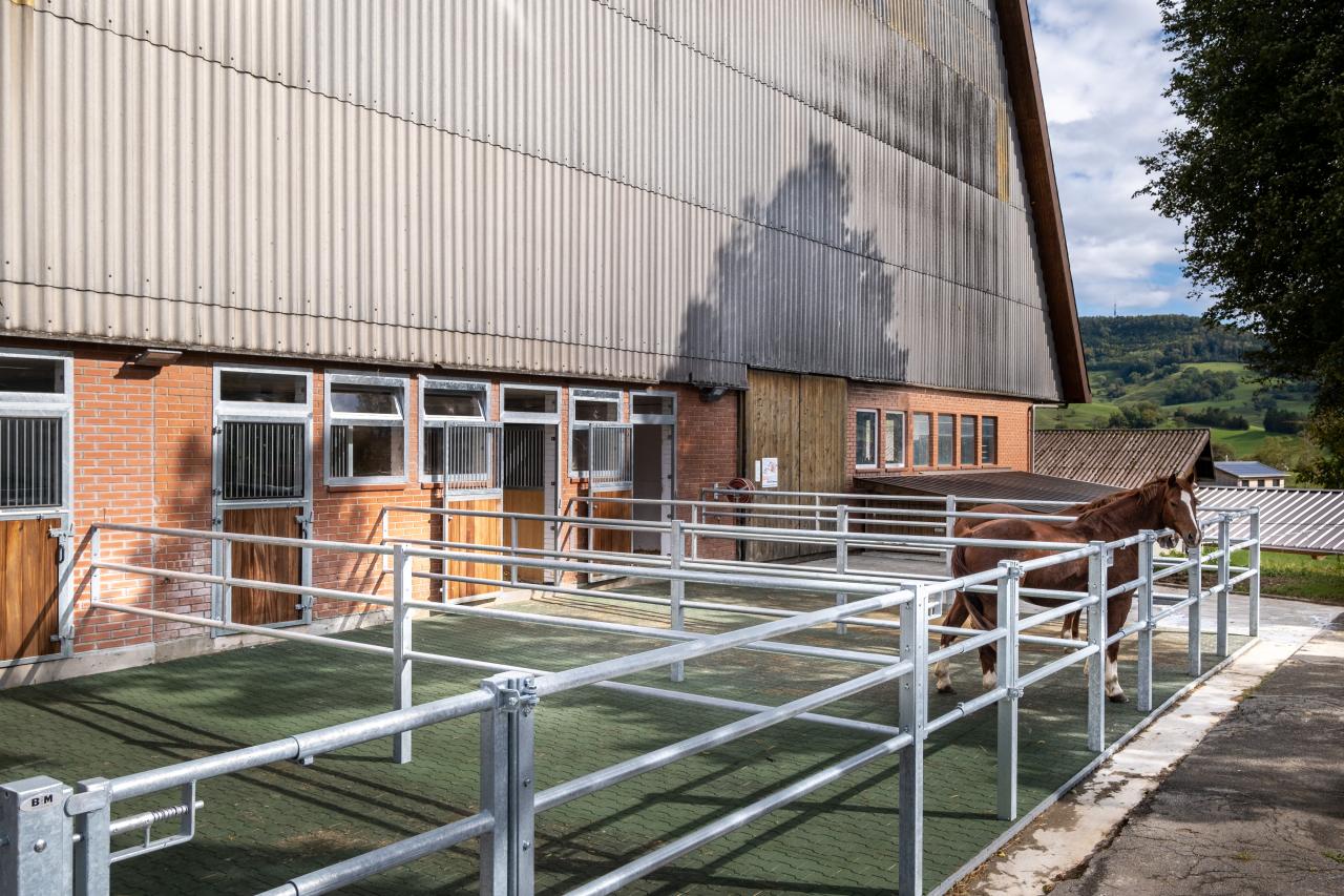 einblick-in-den-putzplatz-9