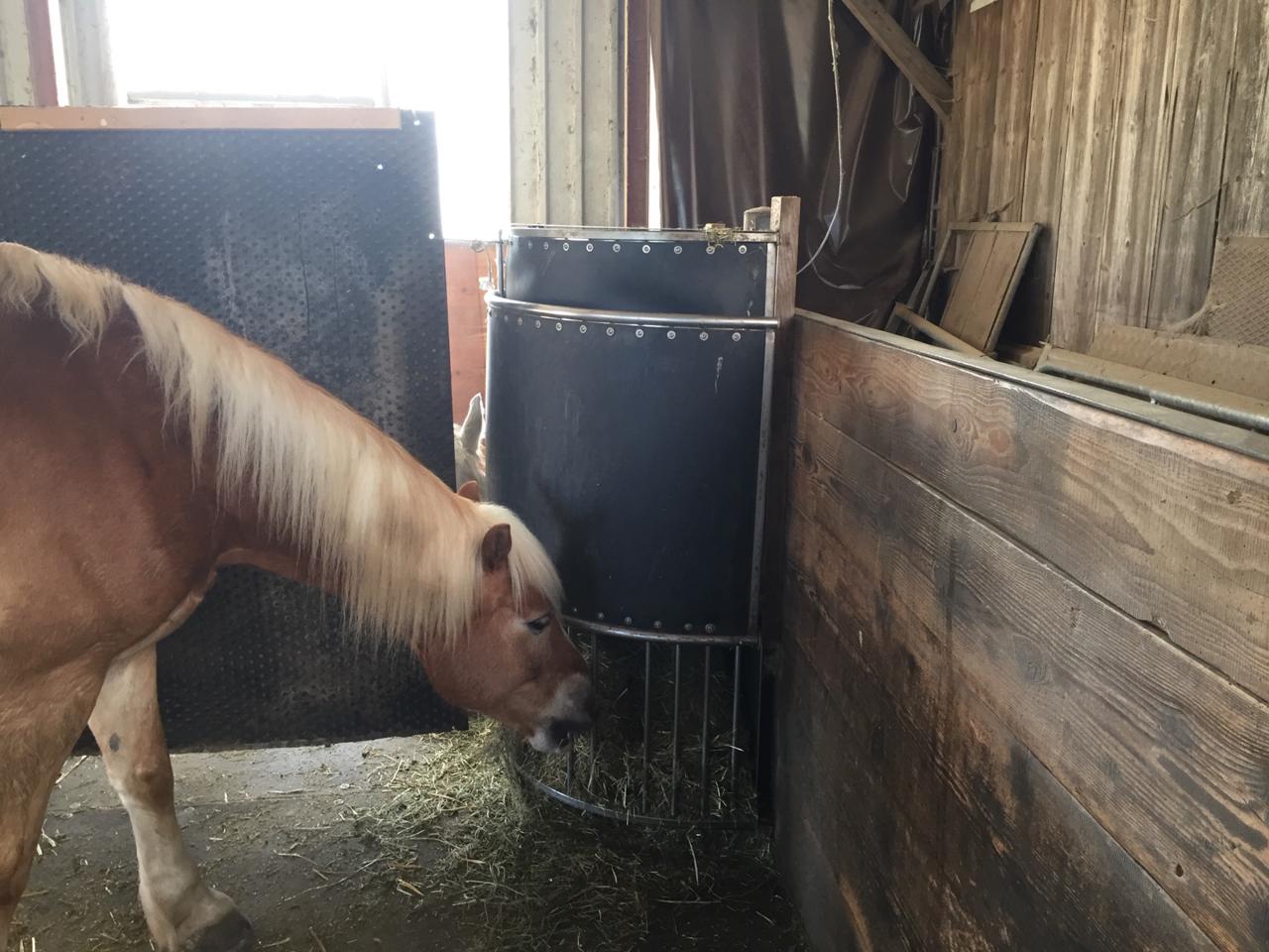 feedslow-raufe-getrennt