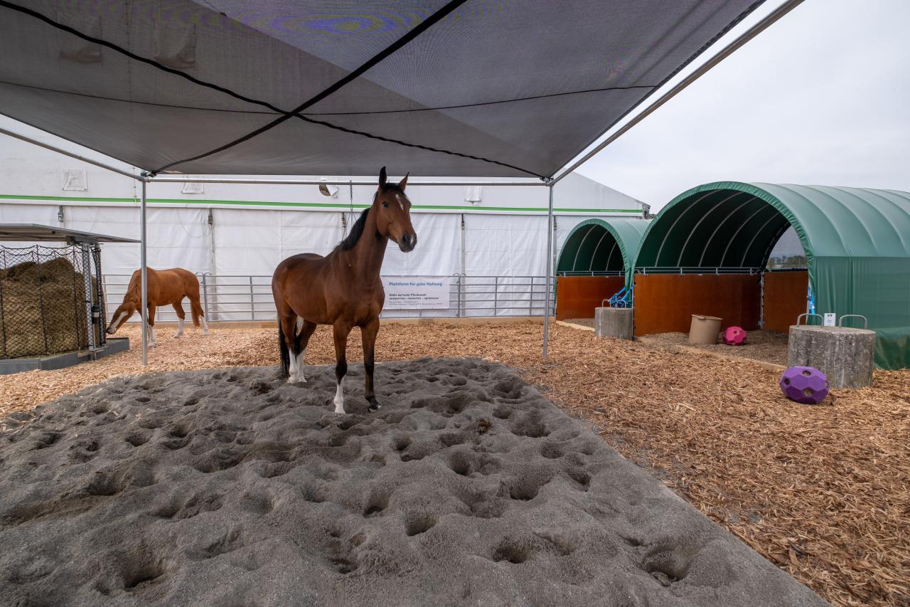 pferdehaltung-an-messen-bea-2023