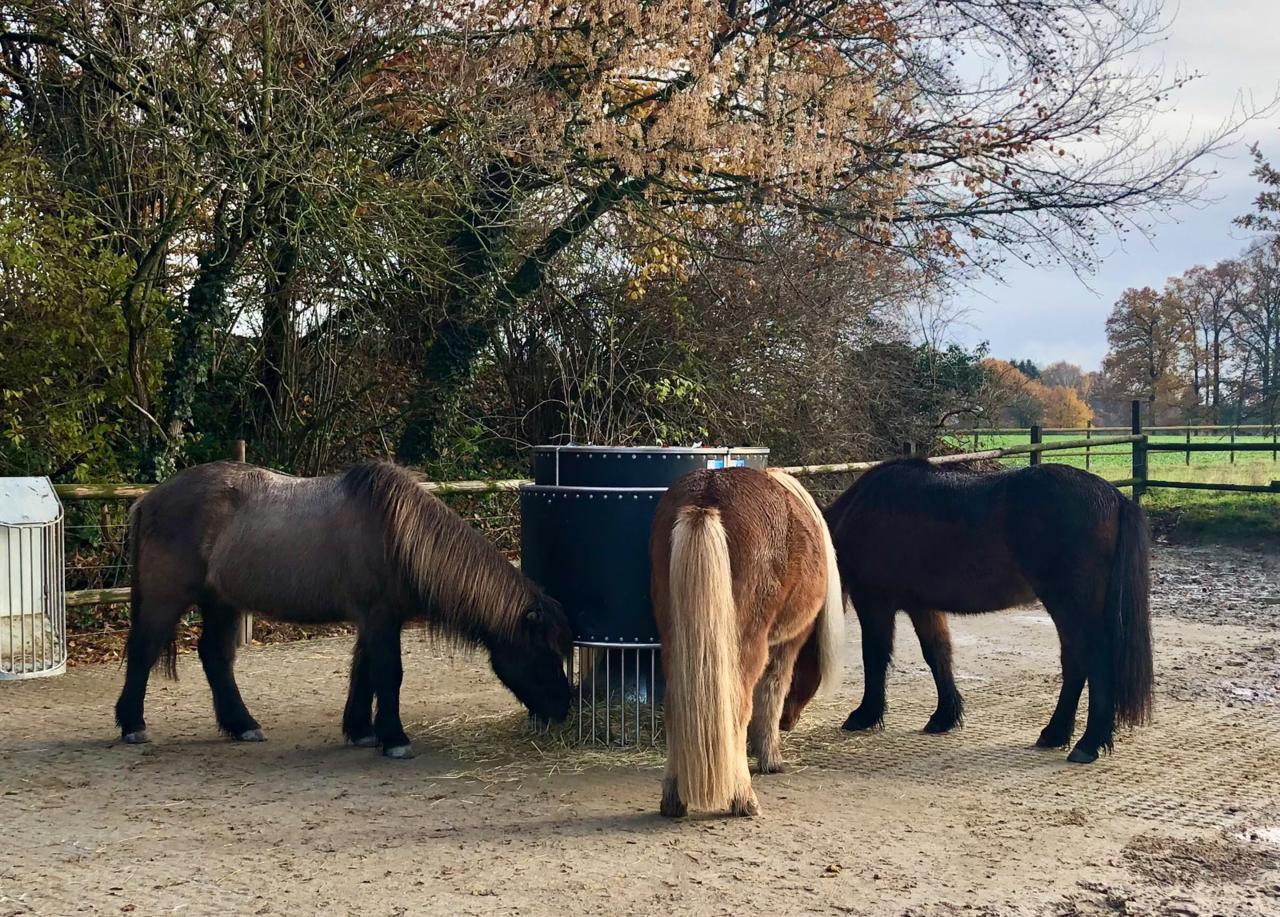 feedslow-raufe-mit-ponies