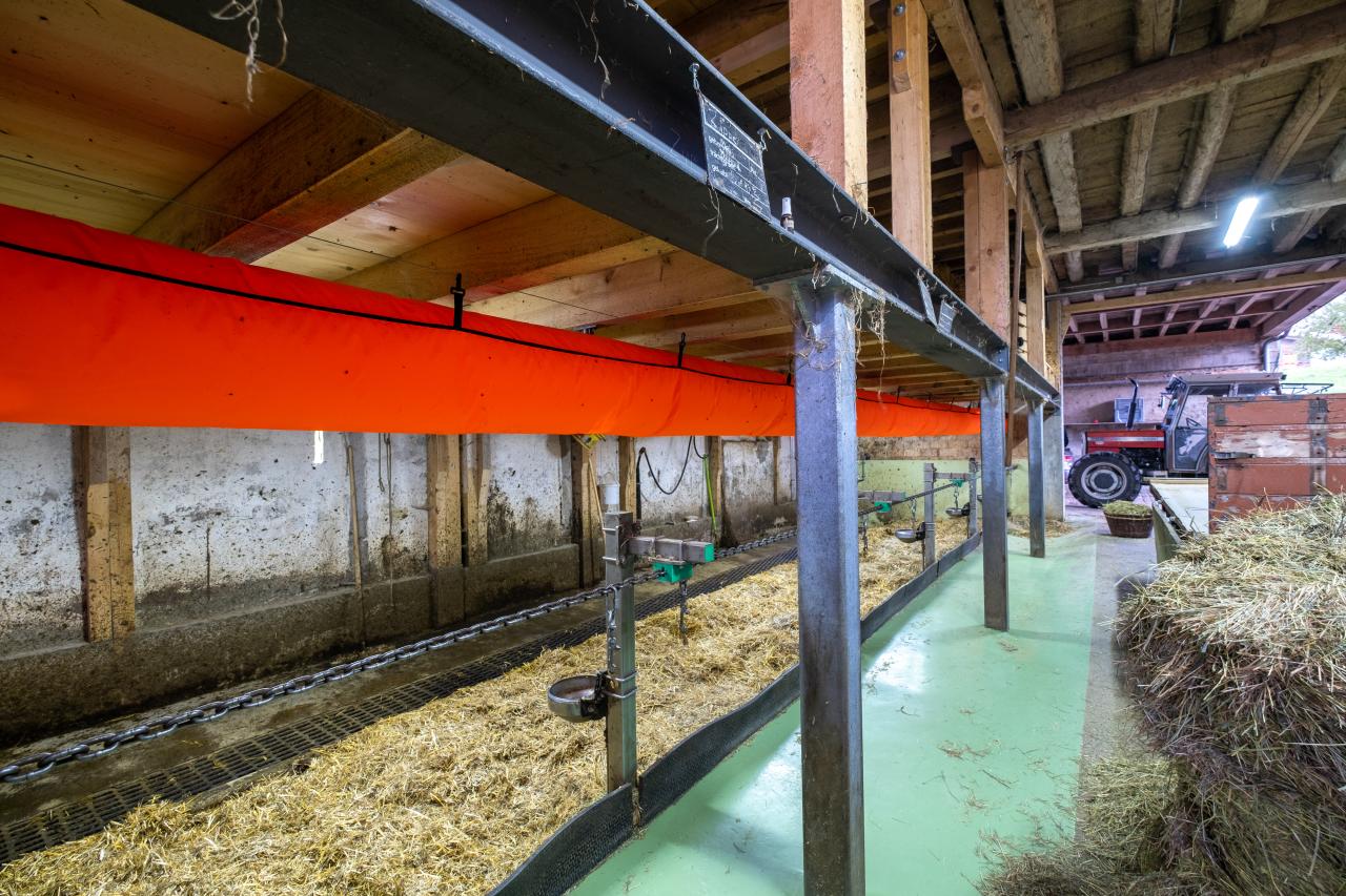 Schlauchluefter-im-anbindestall-3