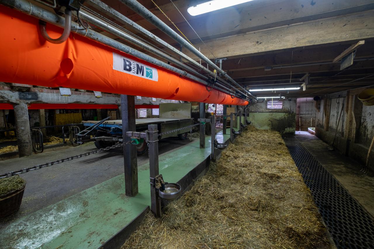 Schlauchluefter-im-anbindestall-1