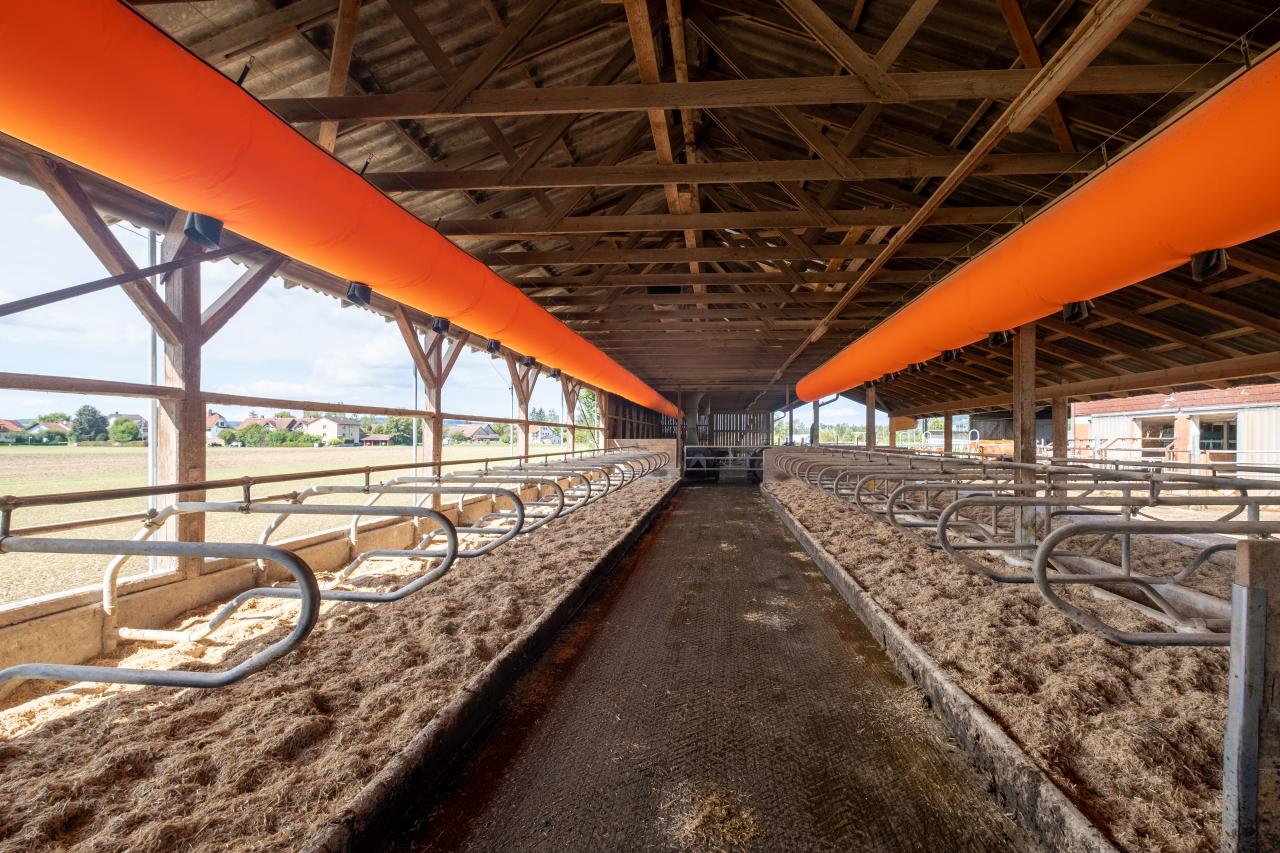 lueftungsschlauch-ueber-liegeboxen-1