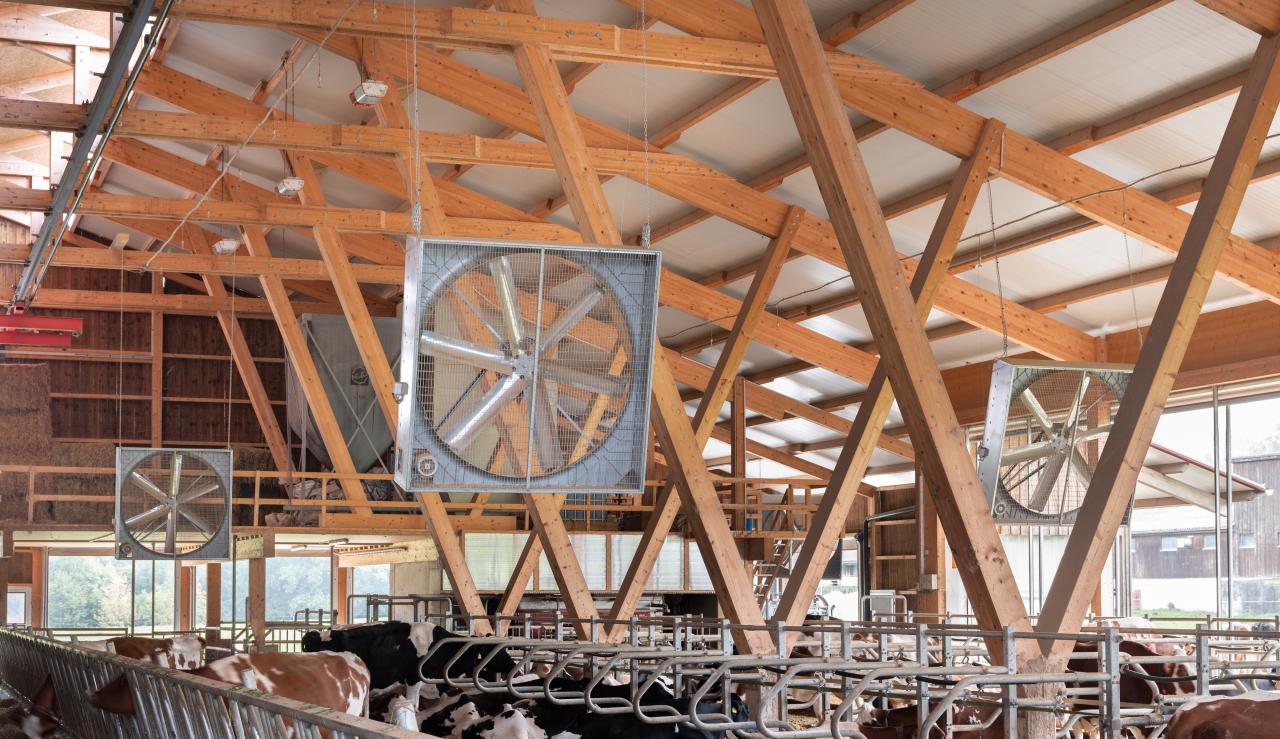 luefter-zoo-ratgeber