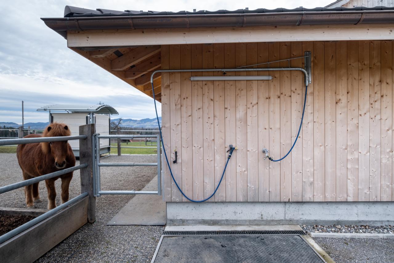 waschplatz-pferde-mit-pferdedusche