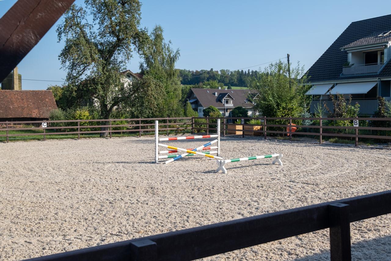 Langlebiger Reitplatz-Zaun-3