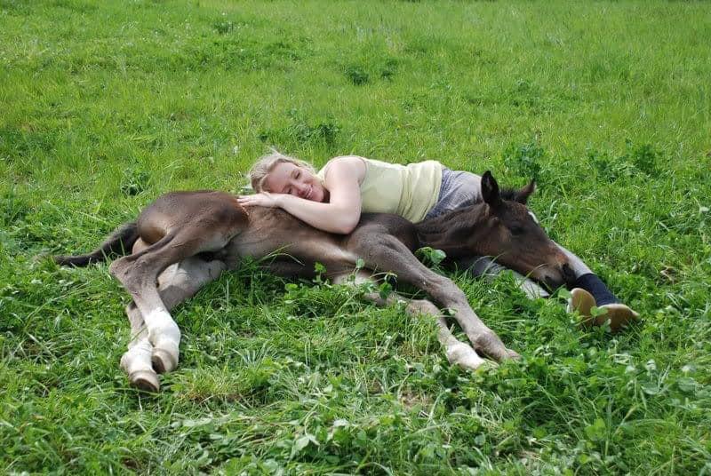 corinne-alt-mit-fohlen