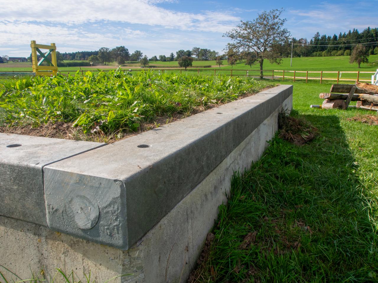 dalue-restaurieren-5