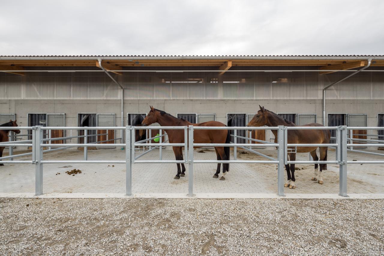 stallneubau-schafisheim-2