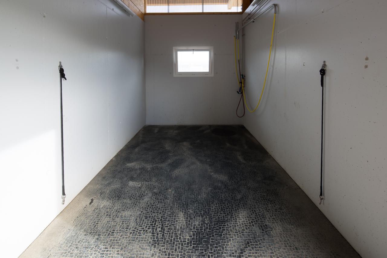 stallneubau-schafisheim-10