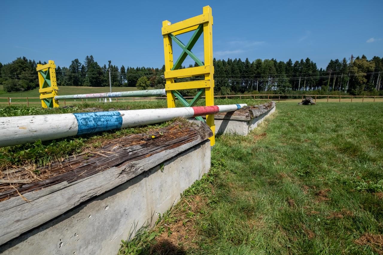 dalue-restaurieren-1