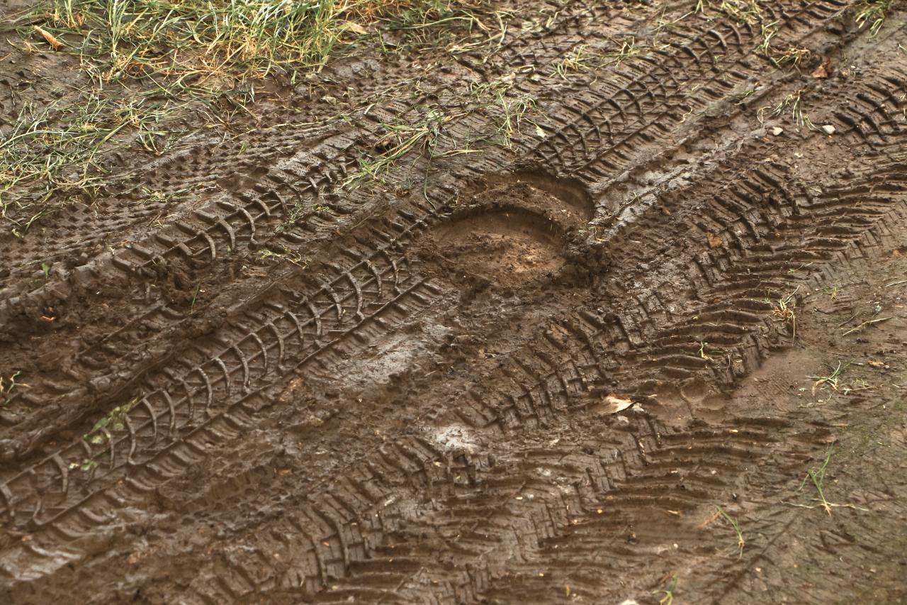 was-tun-bei-auslauf-pferde-matsch