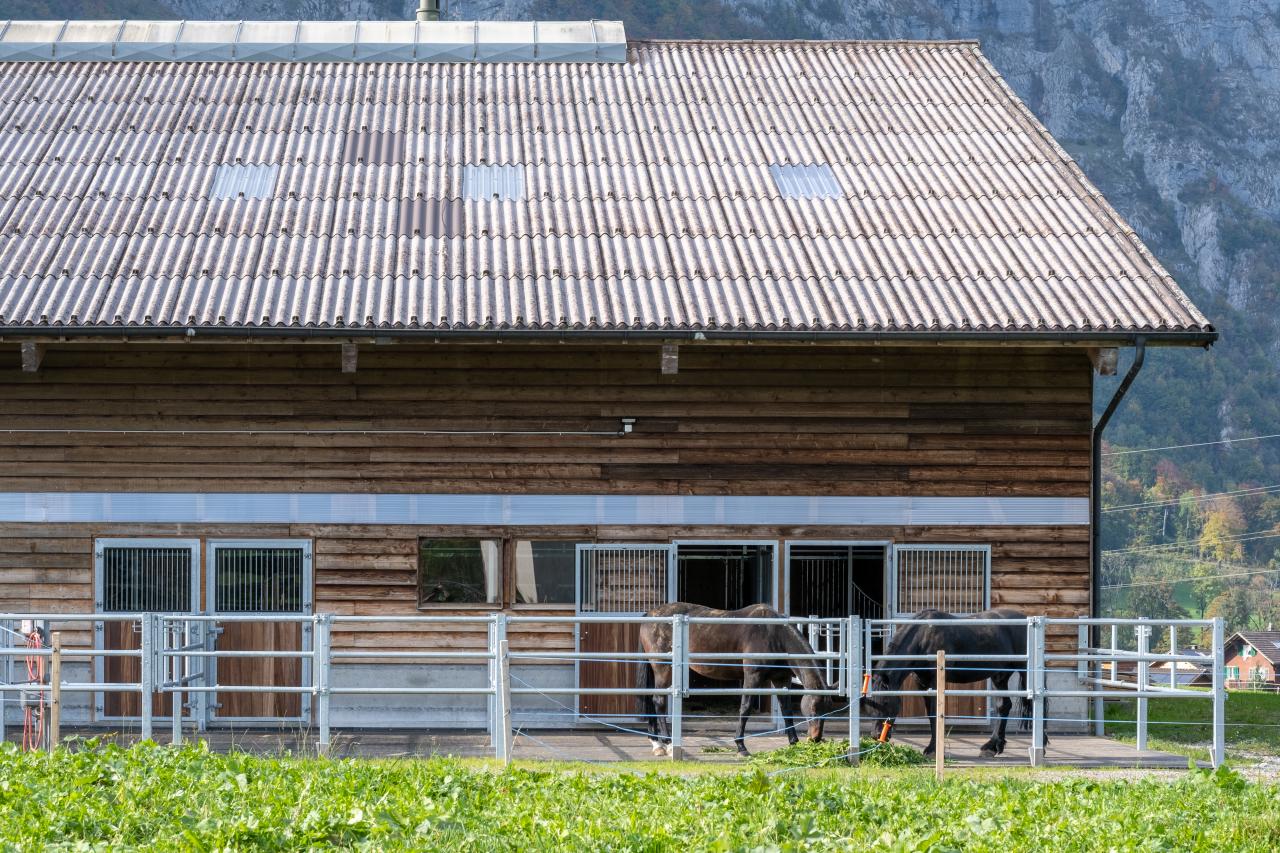 fahr-und-pensionsstall-glarus-1
