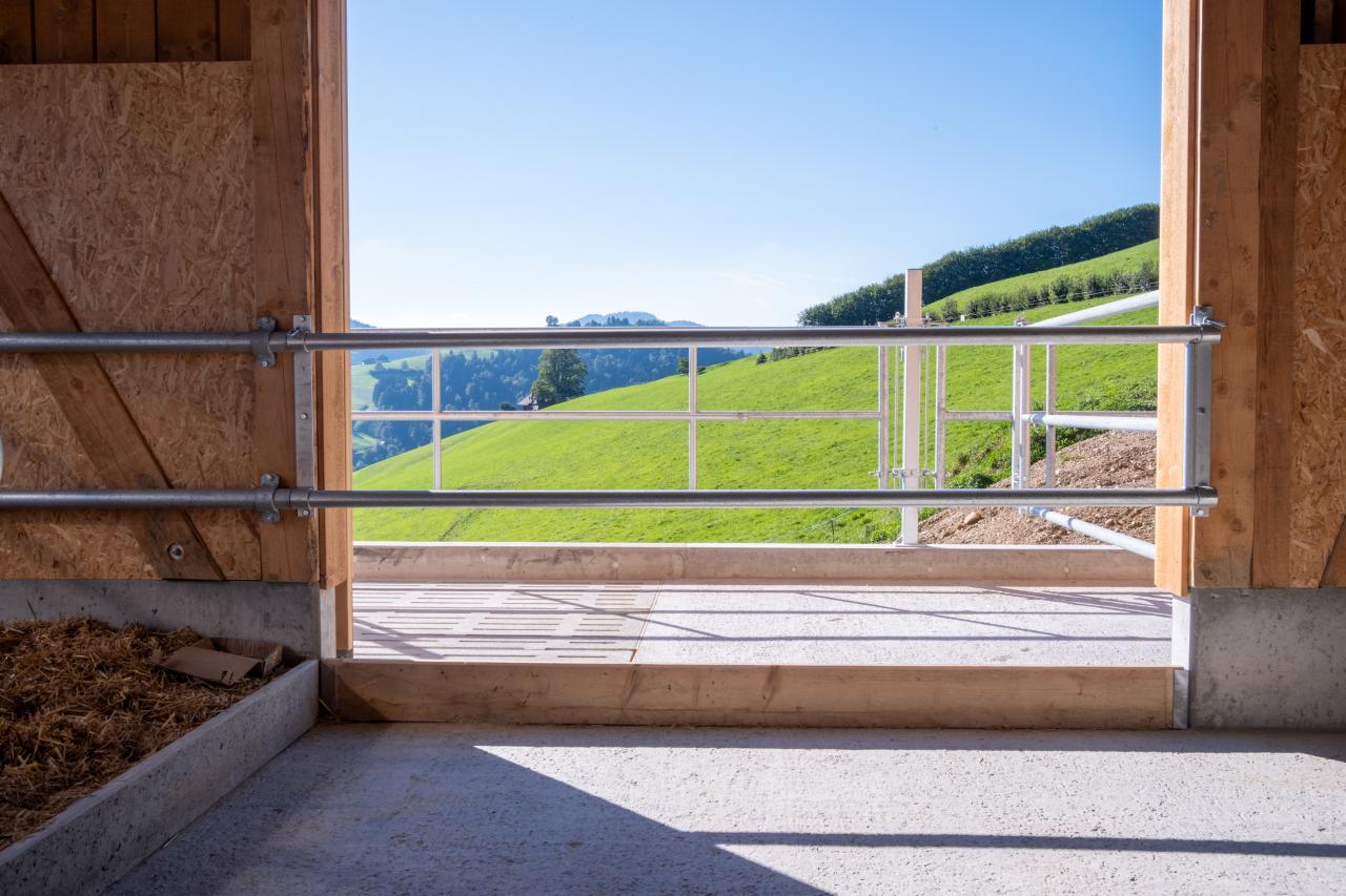 milchviehstall-mit-aussicht-9