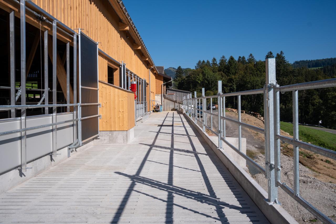 milchviehstall-mit-aussicht-10