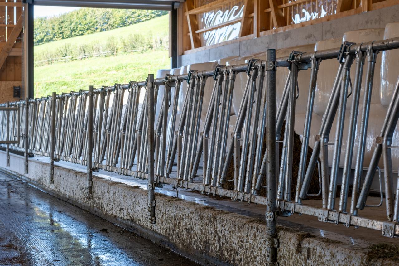 milchviehstall-mit-aussicht-6