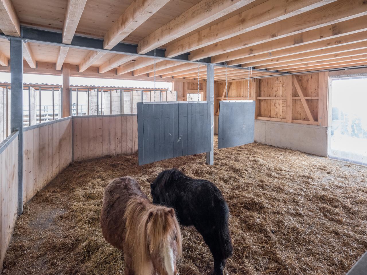 Gruppenhaltung Gestaltung des Liegebereiches 1