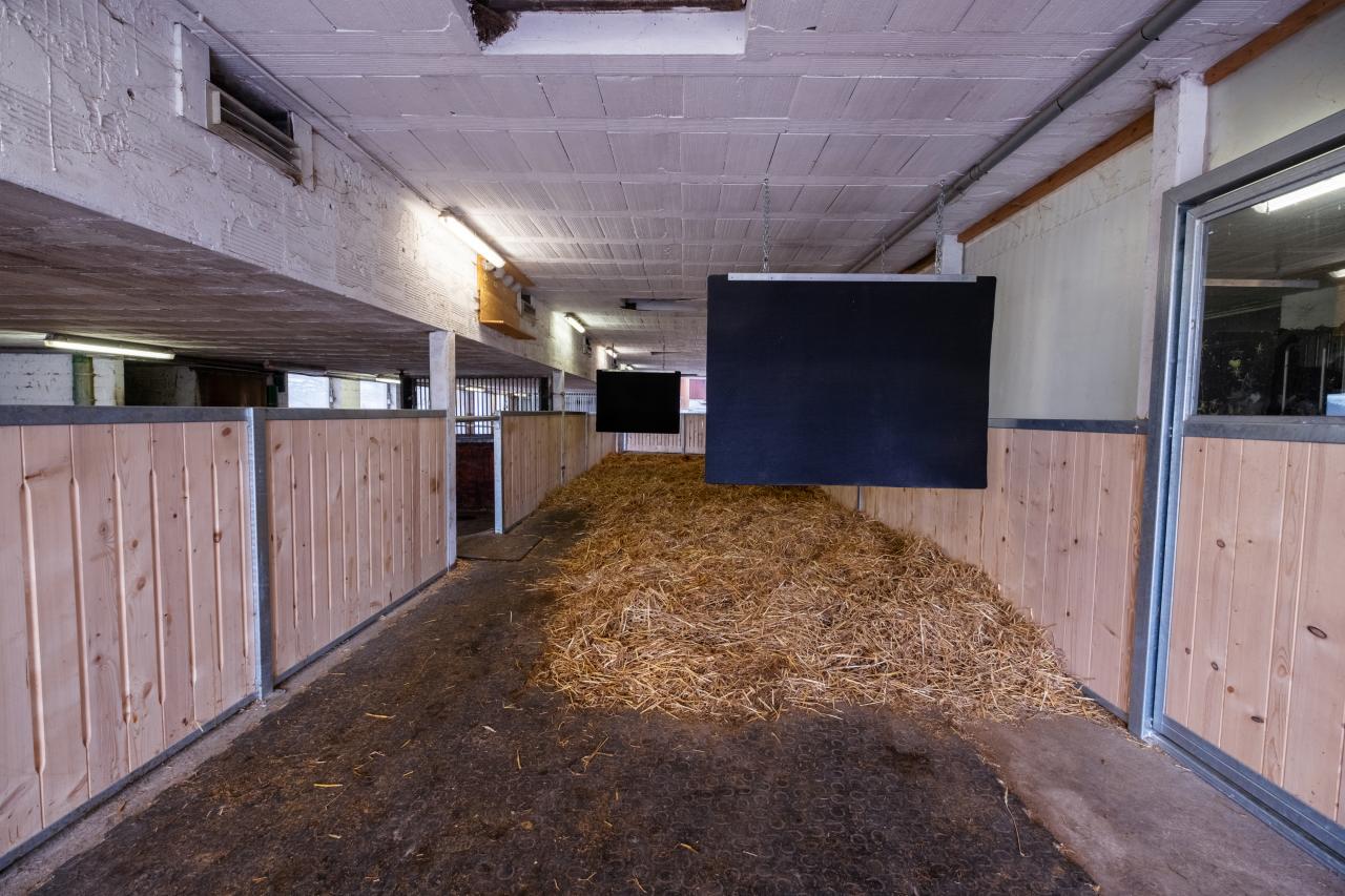 Gruppenhaltung Gestaltung des Liegebereiches 15