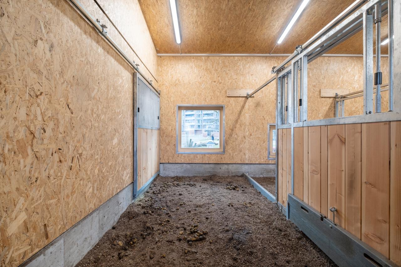 Gruppenhaltung Gestaltung des Liegebereiches 2