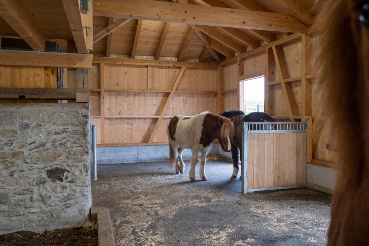 Gruppenhaltung Gestaltung des Liegebereiches 5