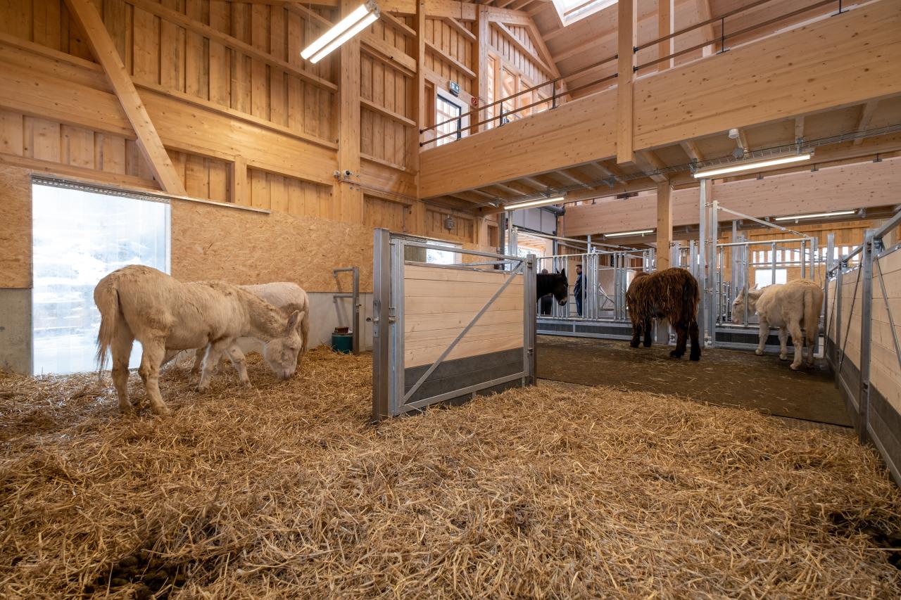 Gruppenhaltung Gestaltung des Liegebereiches 6