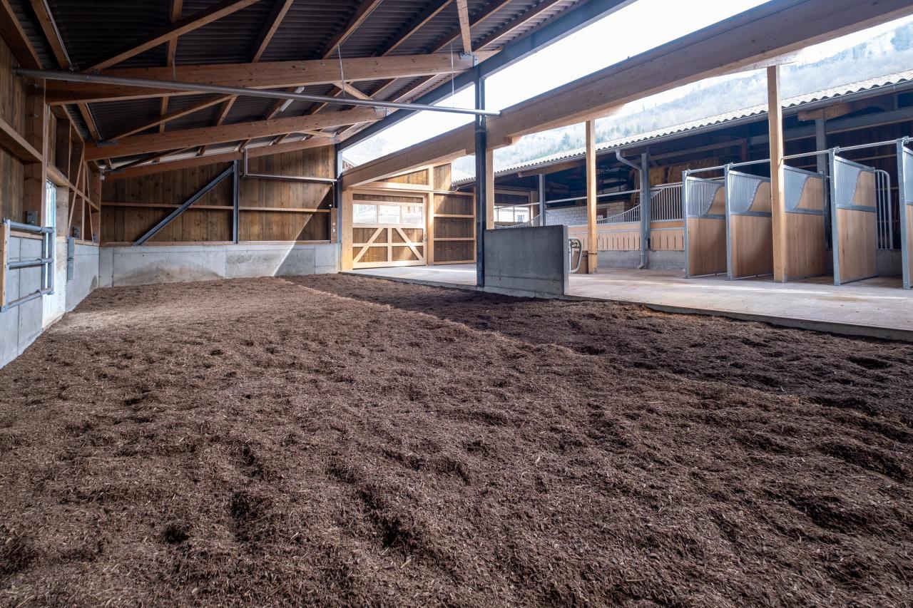 Gruppenhaltung Gestaltung des Liegebereiches 8