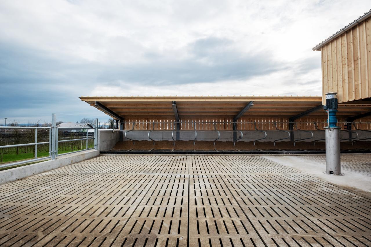 gallus-popp-steinach-referenz-1