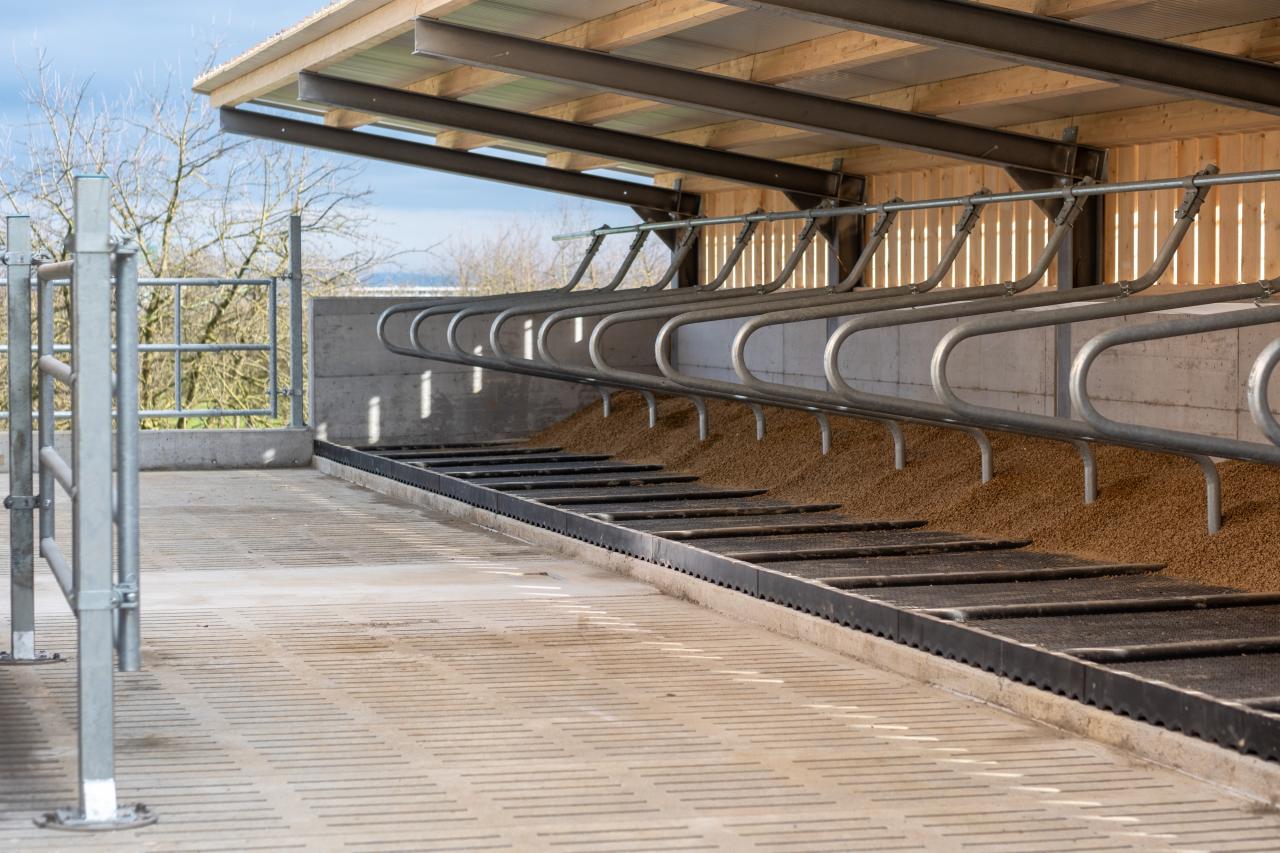 gallus-popp-steinach-referenz-3