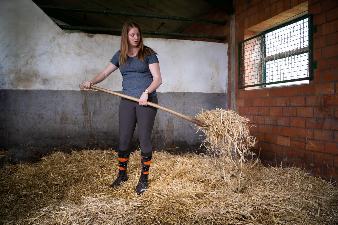 stroh-kritisch-pferdebox