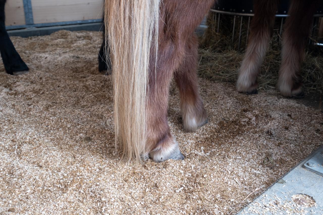 stroheinstreu-zukunftsfaehig-oder-nicht-5