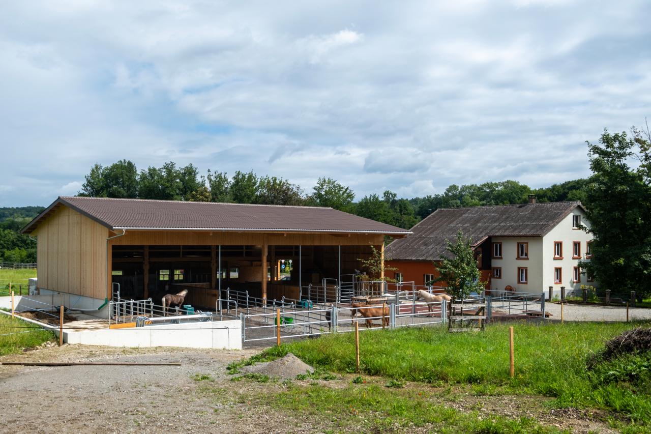 referenz-kreienbuehl-taegerig-1