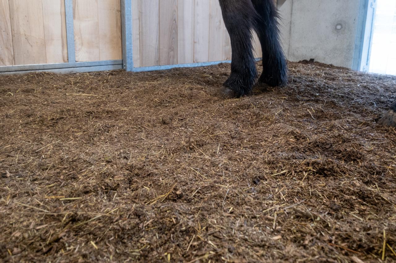 referenz-oberaargau-stallneubau-11