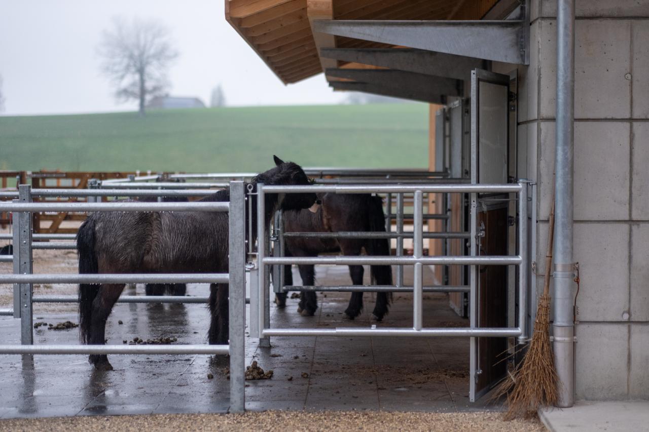 referenz-oberaargau-stallneubau-6