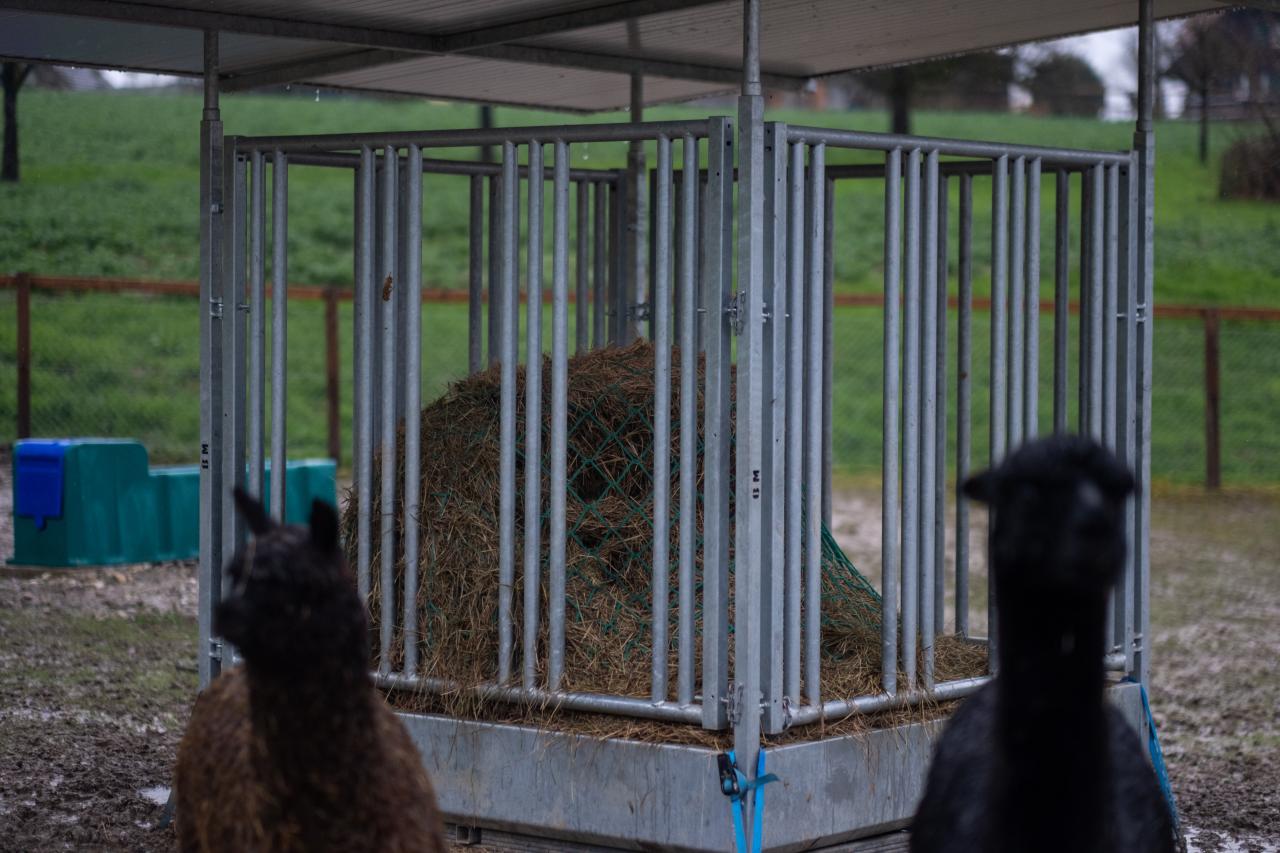 referenz-oberaargau-stallneubau-7