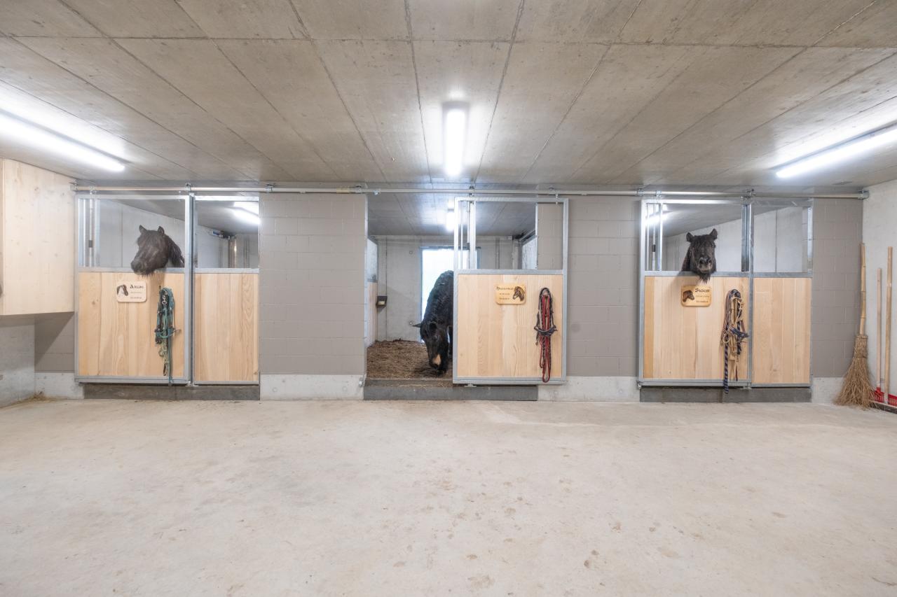 referenz-oberaargau-stallneubau-9
