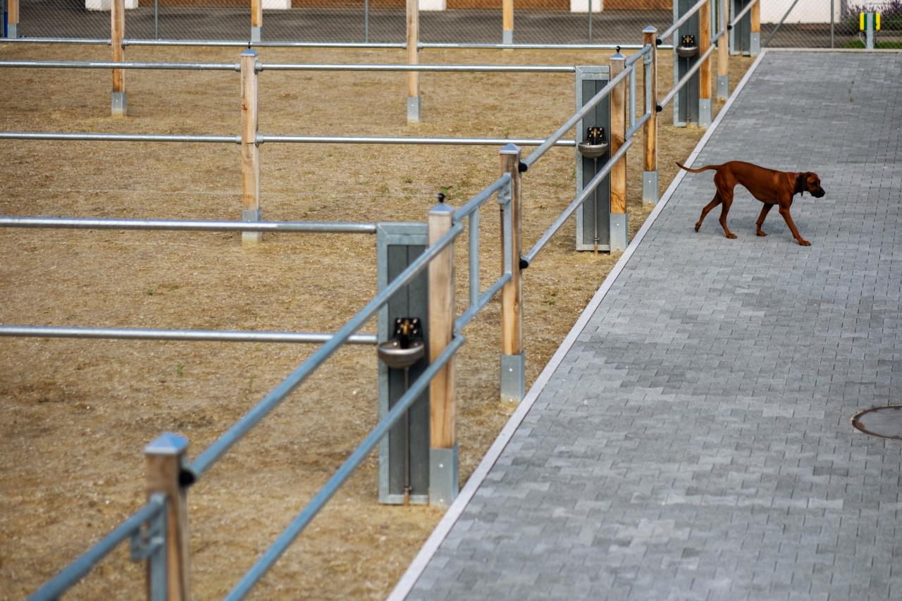 Grosszügige Ausläufe sorgen für Komfort und Schutz.