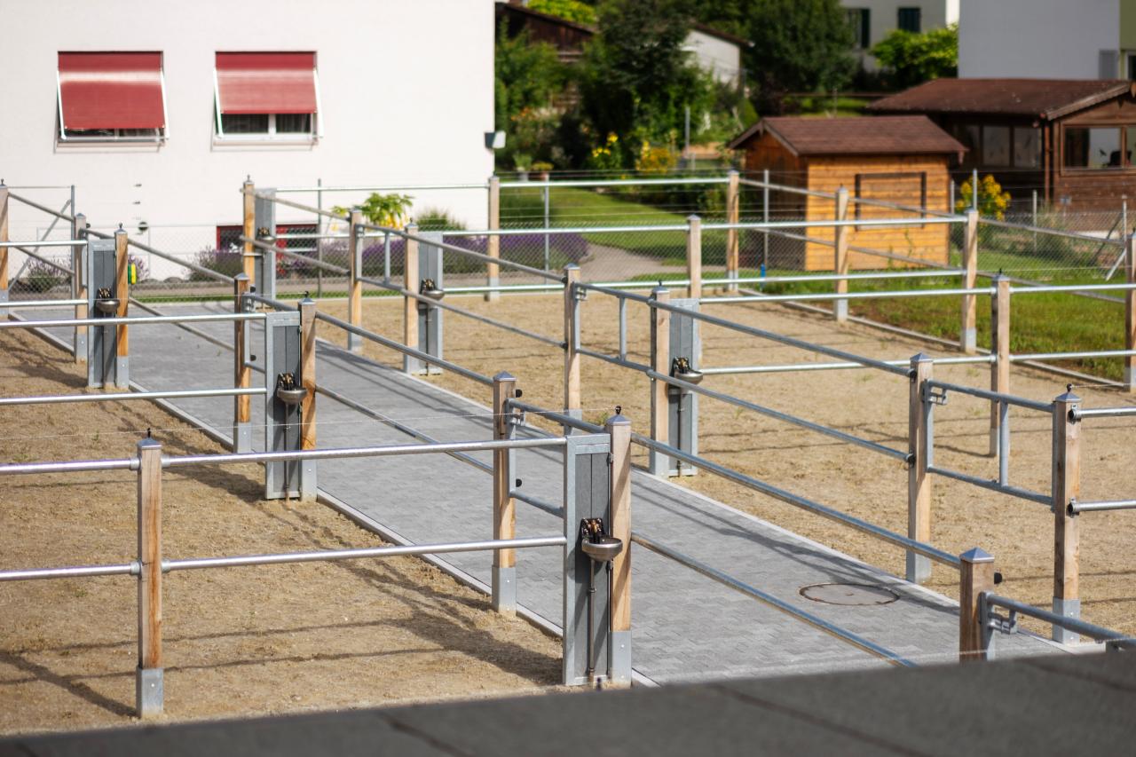 Der ganze Paddock wurde an ein Gefälle von 4% des Terrains angepasst. 