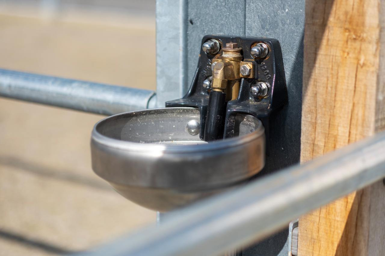 Die Tränkebecken Mod. 1200 aus Edelstahl sind widerstandsfähig und bruchsicher.