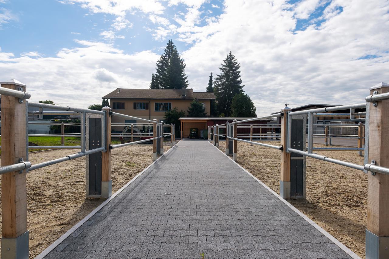 Der Fokus der Ausläufe liegt darauf, dass sich die Pferde gut wallen können.