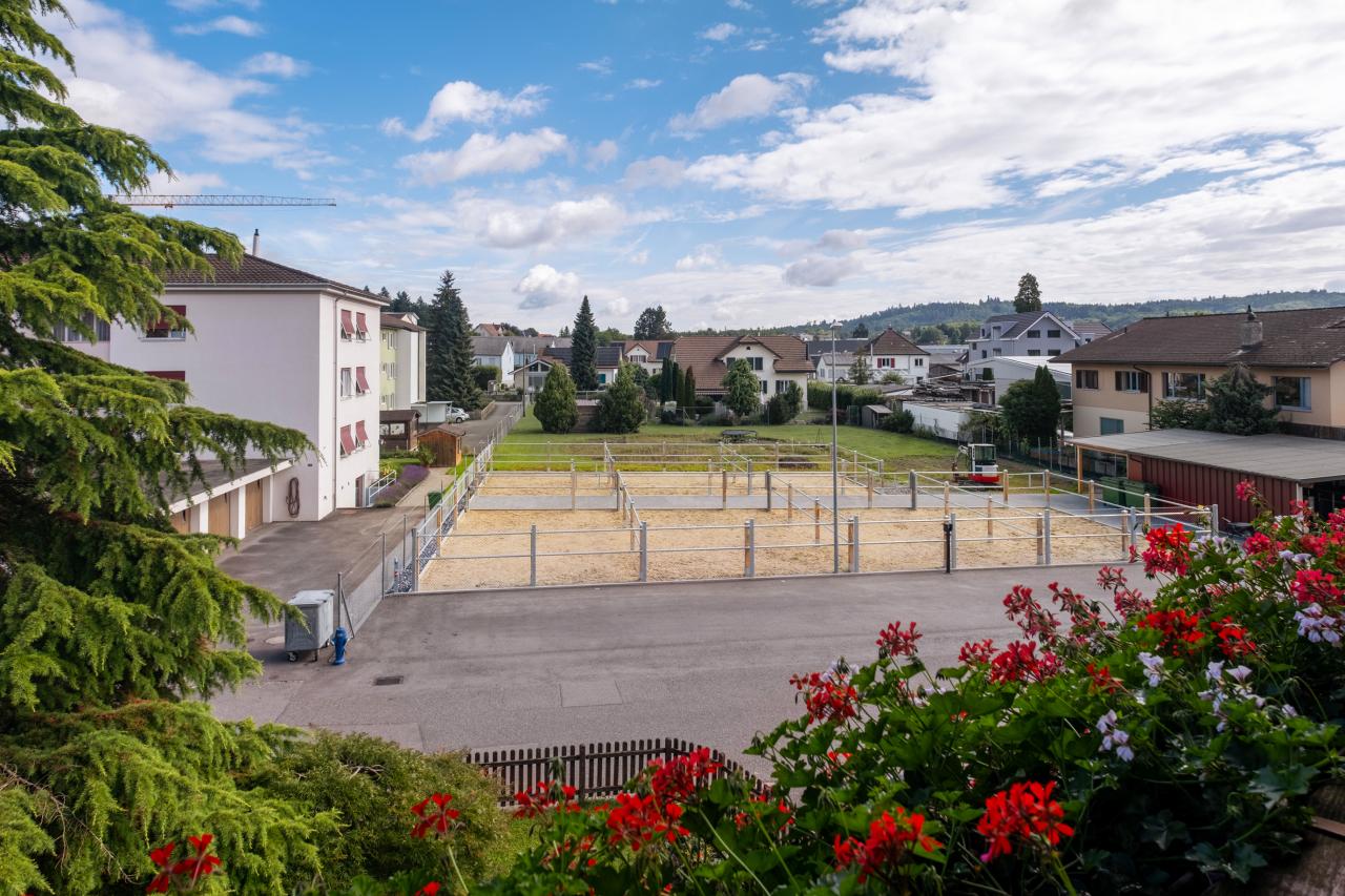 Bei den Erweiterungsbauten in Seon entstand auch ein neuer Aussenpaddock.