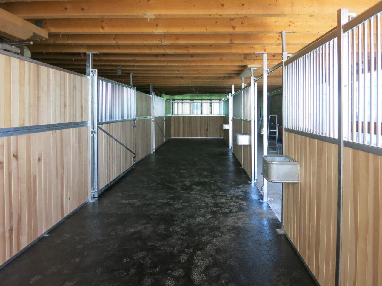 2016-09-22_Pferdebox Spezial__071.jpg