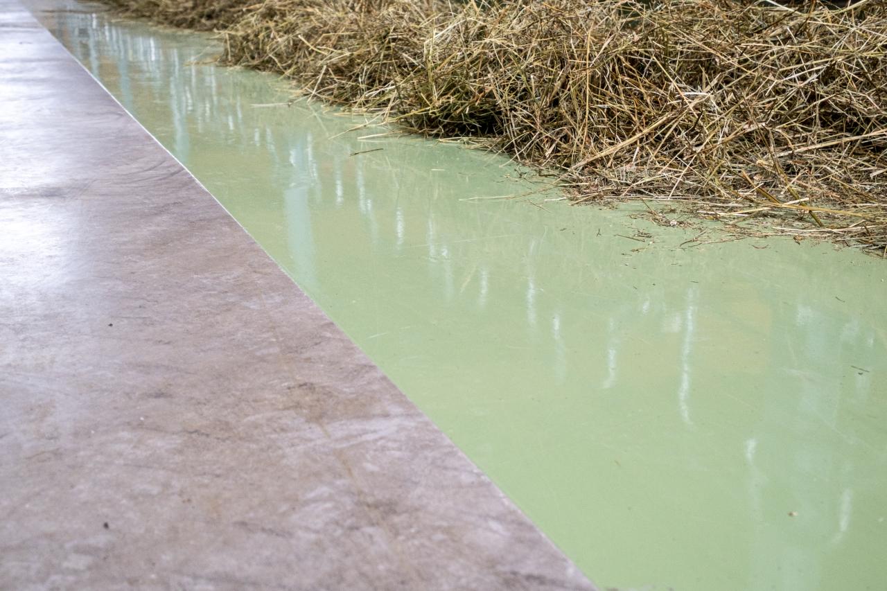 55760_FiBL_Hof-Eingang_Krippenbeschichtung Vencomat.jpg