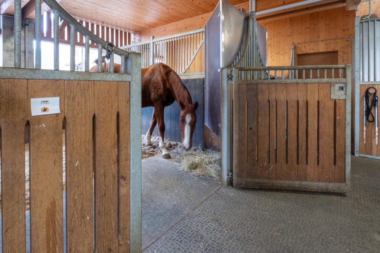 64912_Max und Ruth Rüegger_Feedslow-Eckraufe 7.jpg