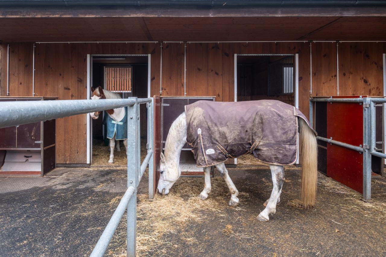 64912_Max und Ruth Rüegger_Feedslow-Portionenraufe 2.jpg