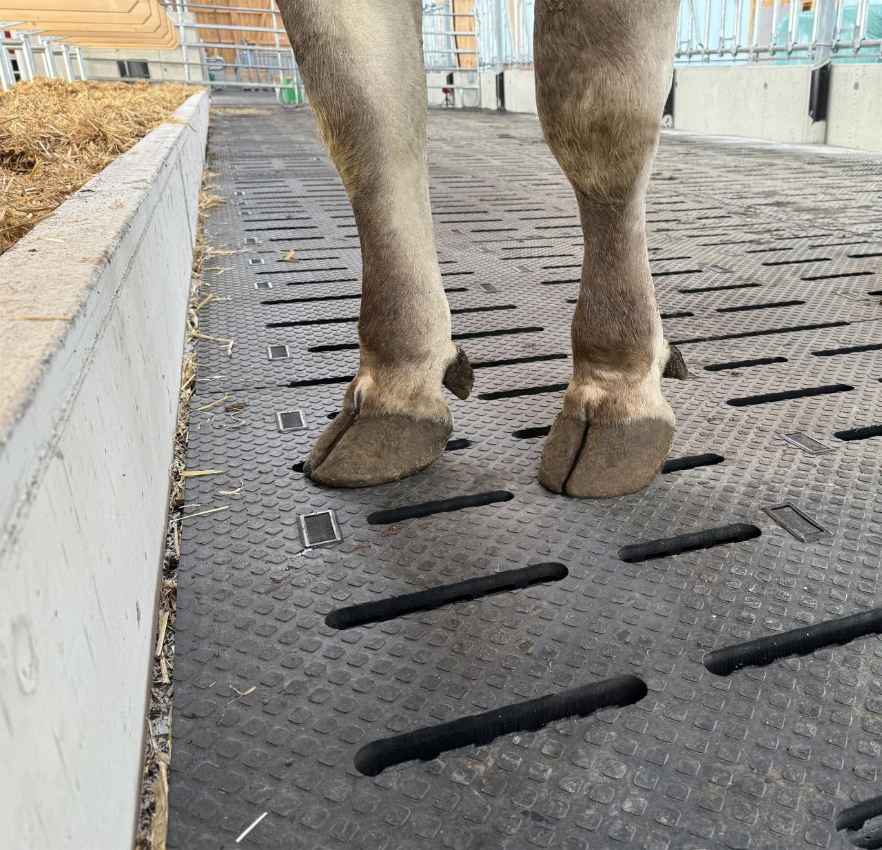 43.100110#2#espaFlex im Stall 11#schwarz