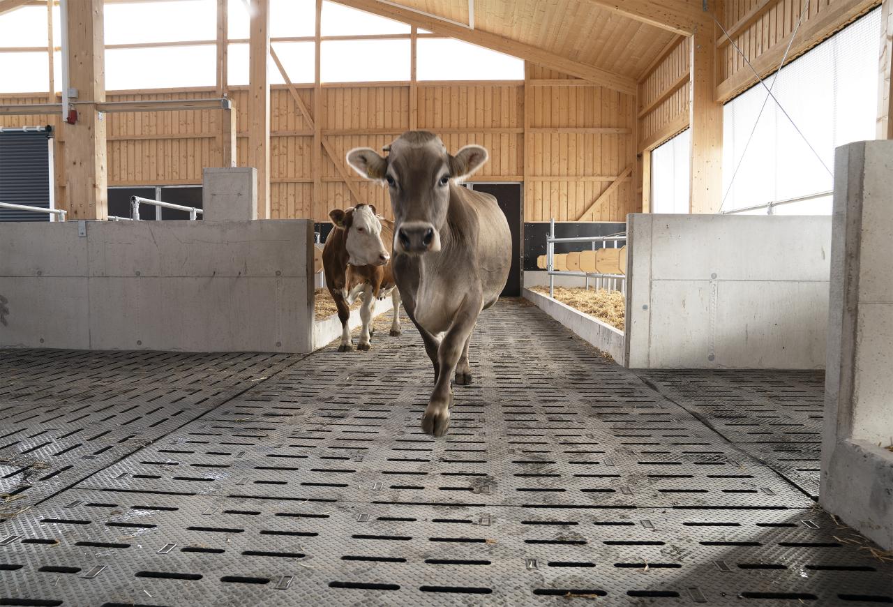 43.100110#2#espaFlex im Stall 6#schwarz