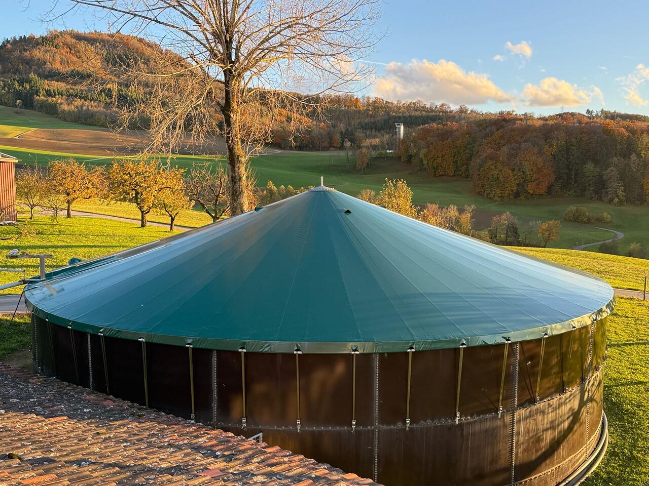 emissionsschutzdach hort wölflinswil 19