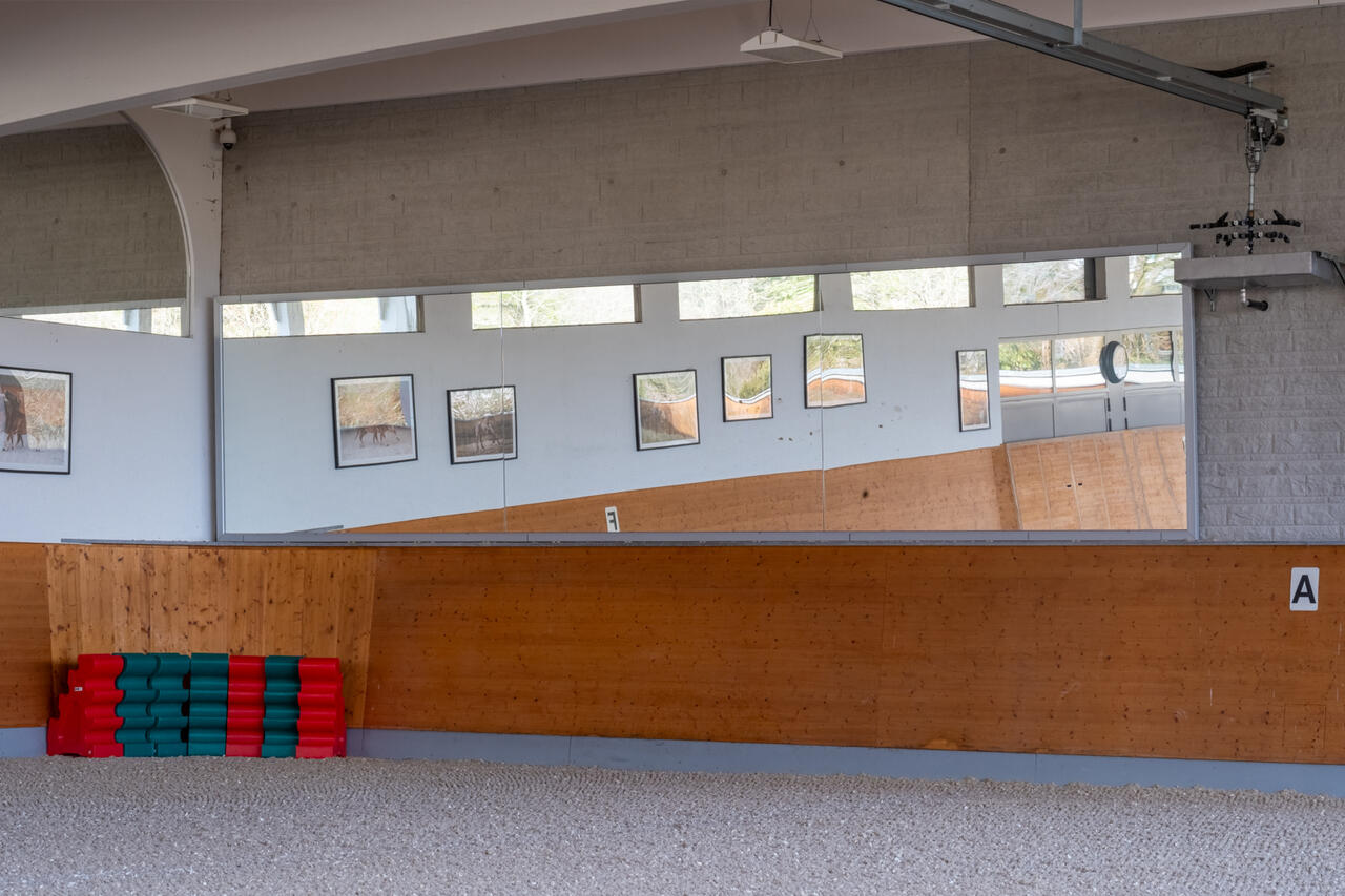 64730_Corinne_Stern_Reithalle mit Spiegel.jpg