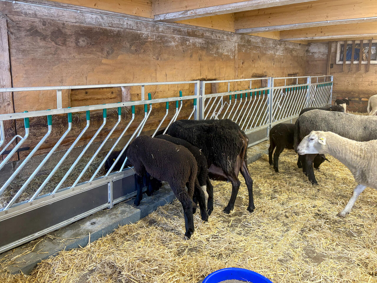 38421 Wohngemeinschaft Stocken 2-2.jpg