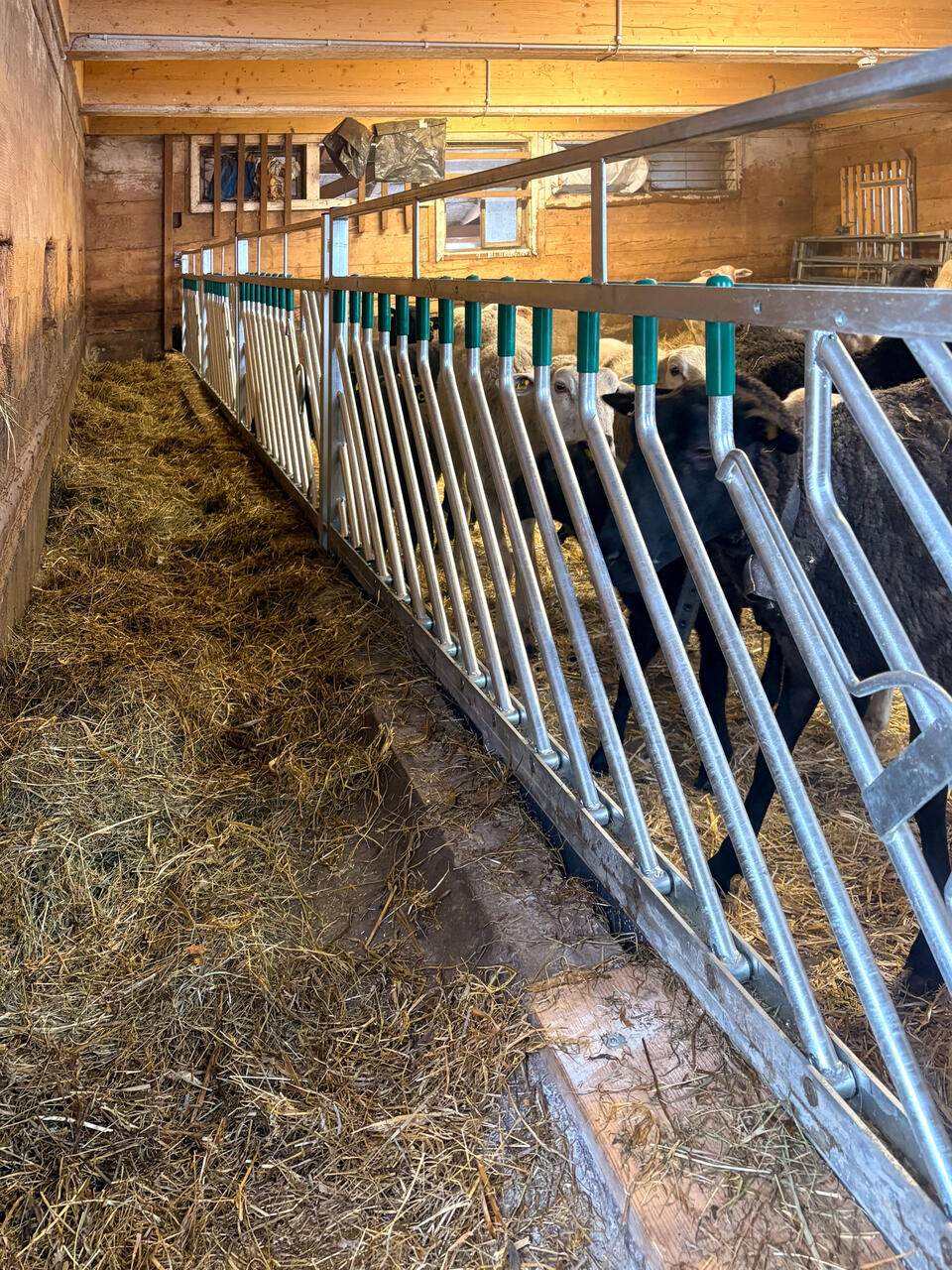 38421 Wohngemeinschaft Stocken 3-2.jpg